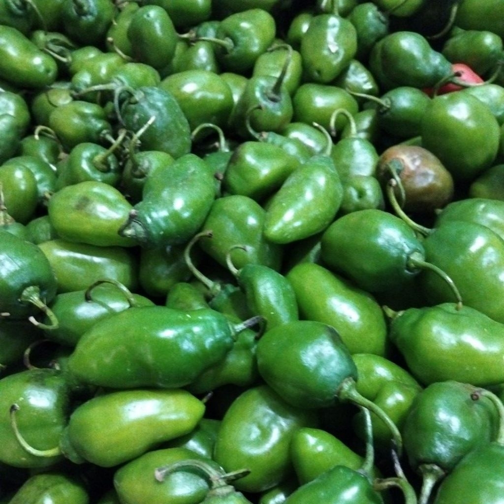 

cabe gendot 500gram