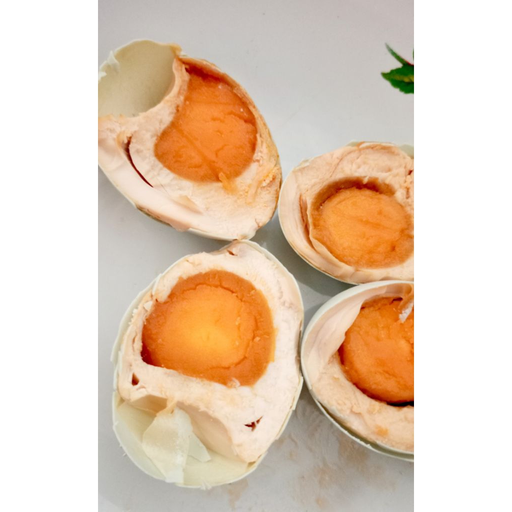 

TELUR ASIN MATANG SIAP SAJI ISI 10 BUTIR UKURAN BESAR