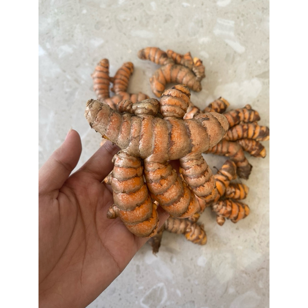 

Kunyit/Kunir Bersih Siap Kirim