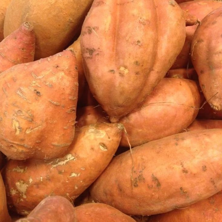 

INSTAN KOTA JAMBI Ubi Jalar Super 500gr