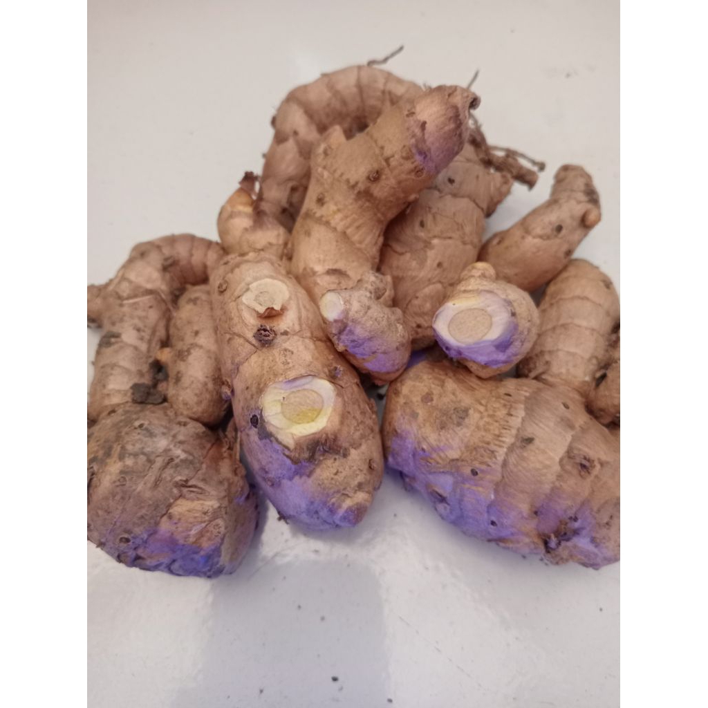 

kunir Putih / Kunyit putih segar 250 grm