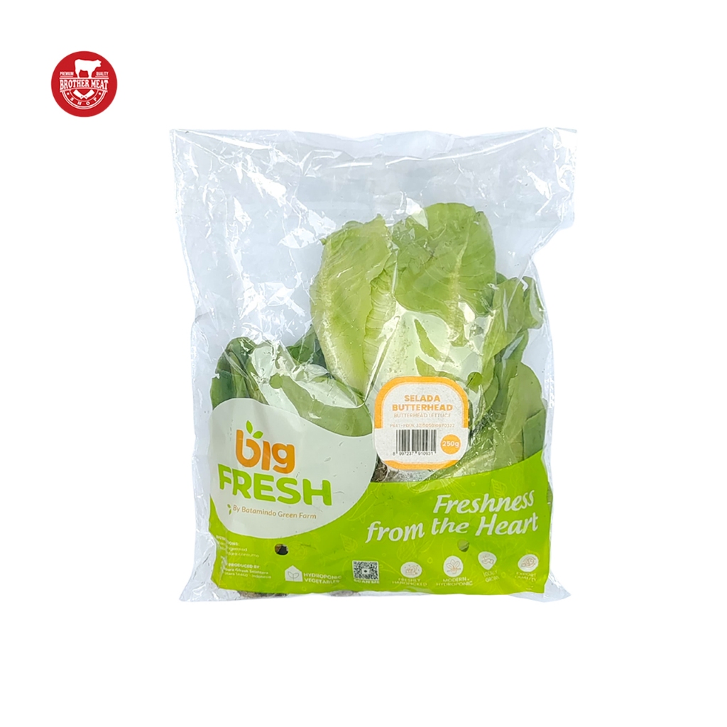 

Big Fresh Selada Butterhead Fresh 250gr - Brothermeatshop
