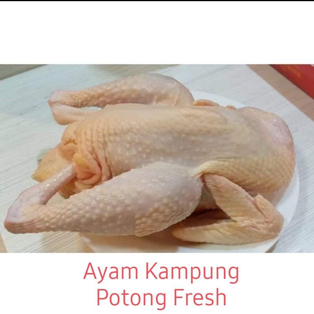 

Ayam Kampung Potong Fresh Sentosa Sayur Pontianak