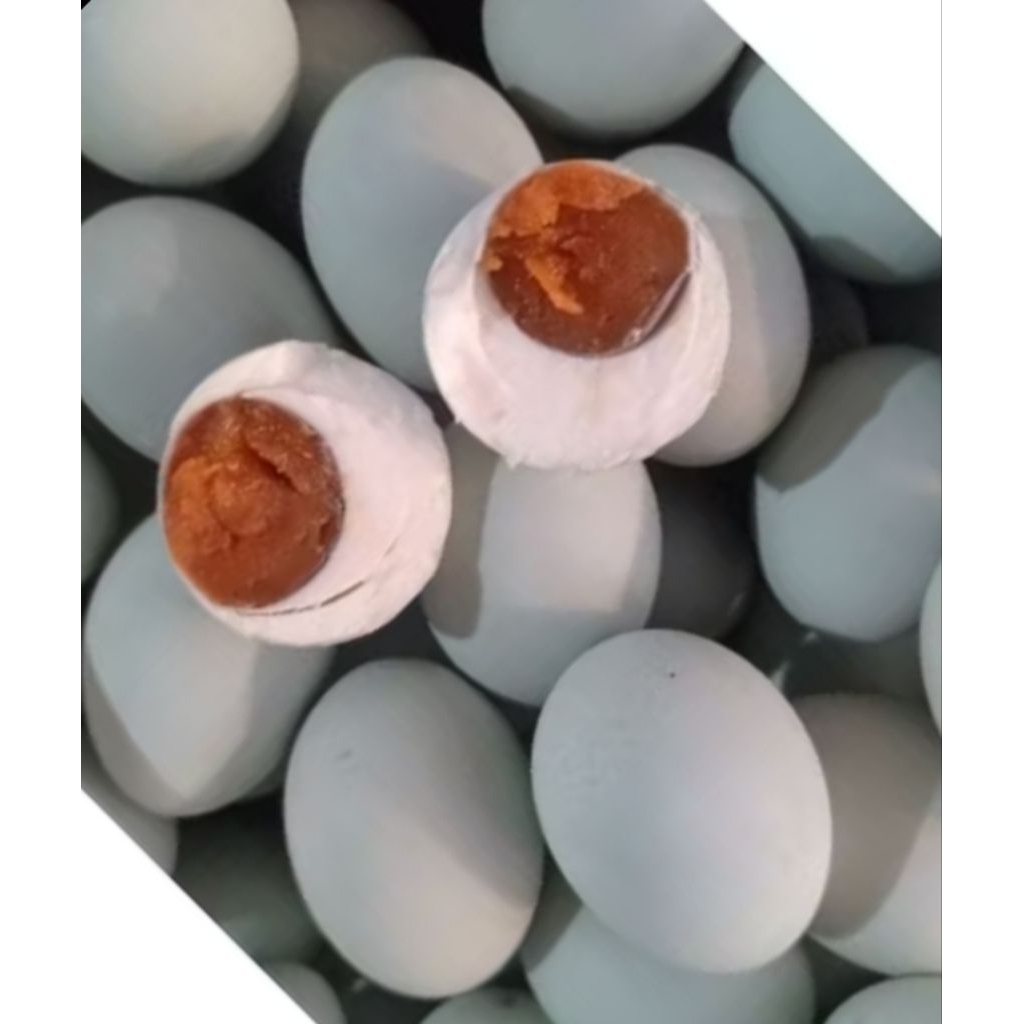 

PAKET TELOR ASIN ISI 10 BUTIR