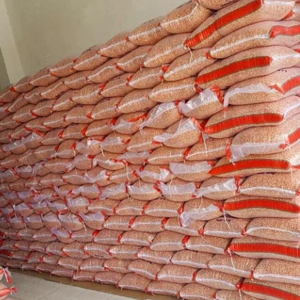 jagung kristal 25kg pakan burung dara