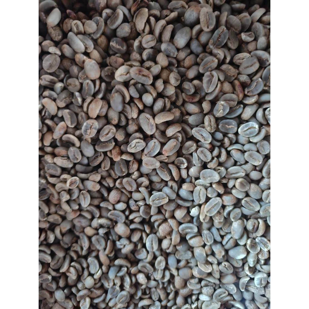 

Greenbean natural Arabika Pinang Awan Solok Selatan