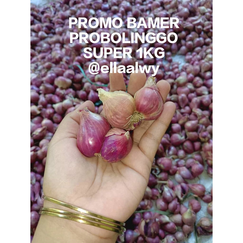 

Bawang merah probolinggo sedang tanggung kecil 1kg