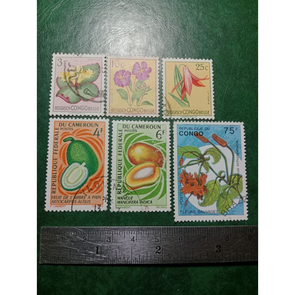 

Prangko Kongo & kamerun 6 Pcs Campur USED
