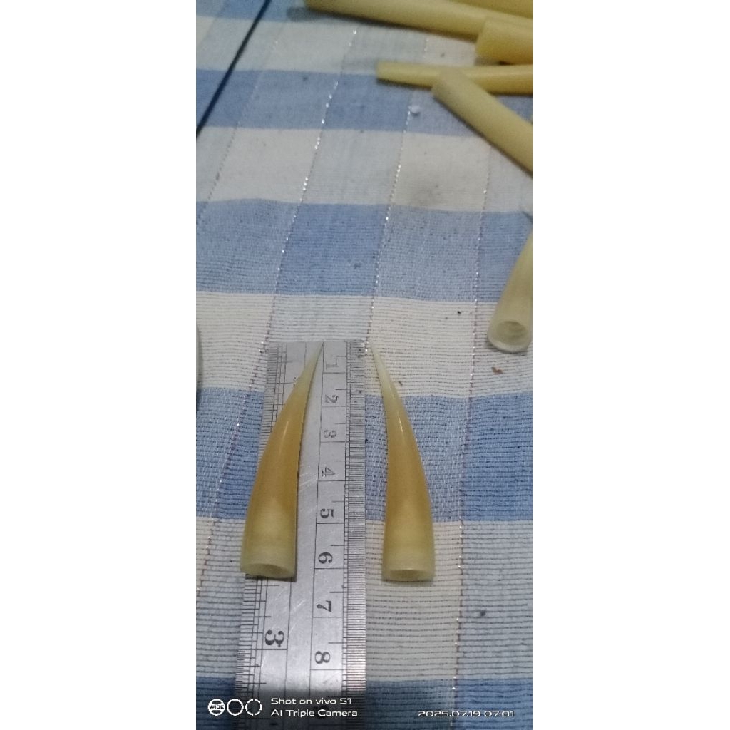 jalu ayam sambung