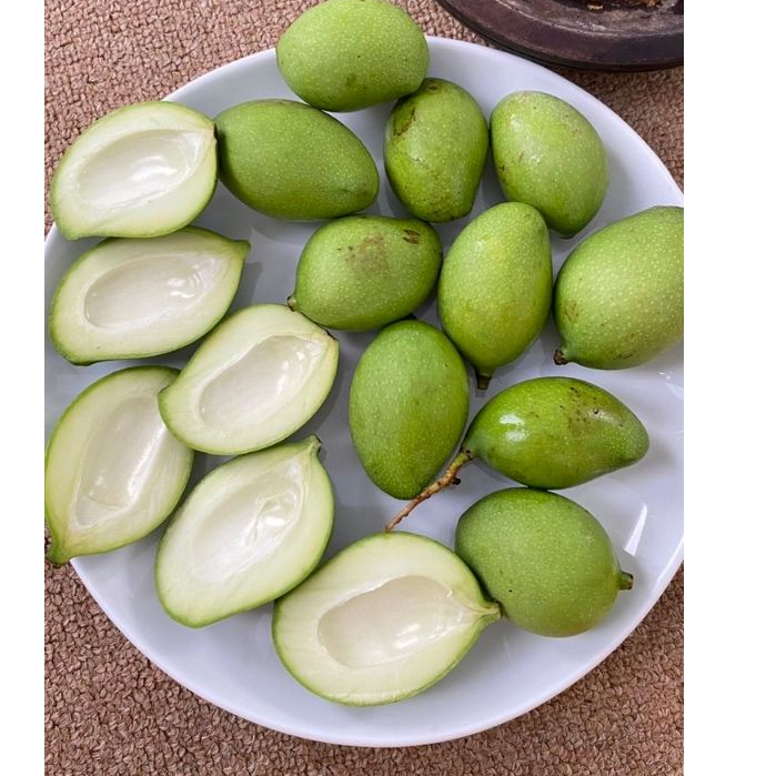 

MANGGA MUDA / Mangga Jamson / Mangga belah biji / mangga rujak / mangga mengkal / mangga asam / mangga garing / mangga telur / mangga cangmai / mangga muda / mangga pentil