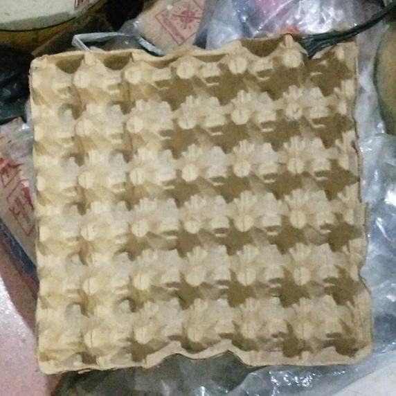 TRAY KARTON TELUR - SARANG TELUR