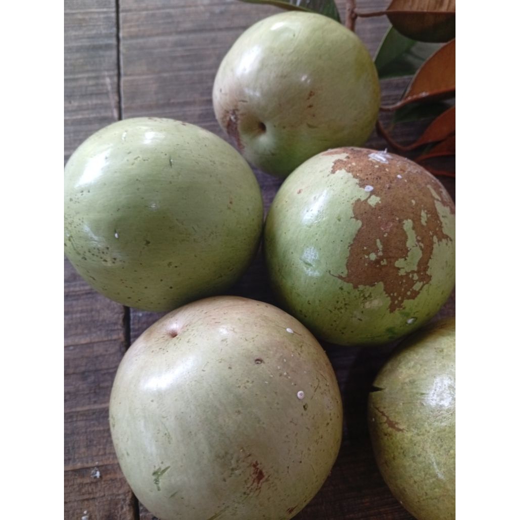 

sawo durian / durian sawo 1kg rasa manis susu