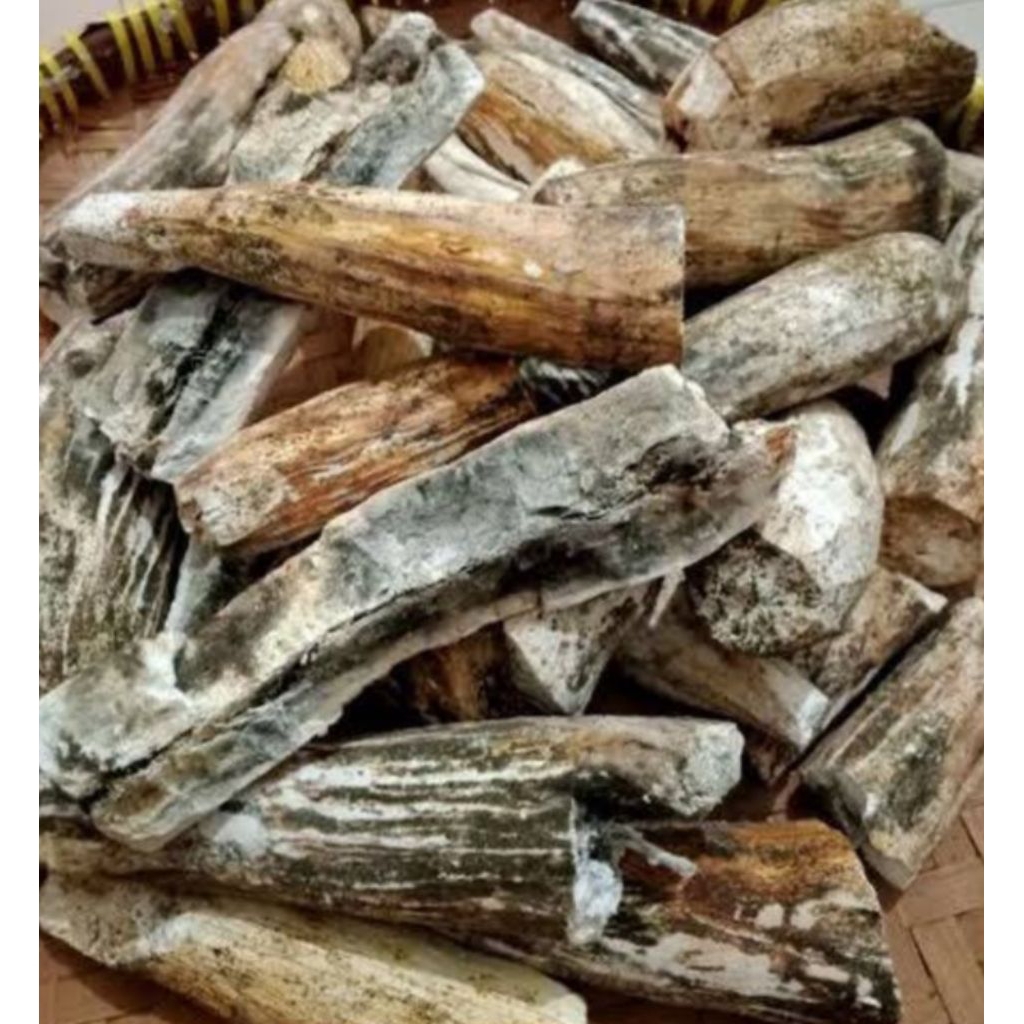 

Jual gatot singkong kuwalitas bagus 3 kg