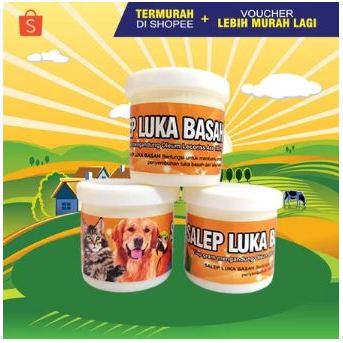 SALEP LUKA BASAH - Obat Luka Kucing Penghilang Borok Bekas Luka Kucing Pencegah Infeksi Luka Kucing