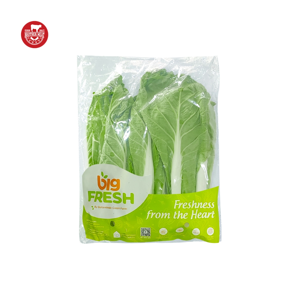 

Big Fresh Sawi Keriting Fresh 250gr - Brothermeatshop