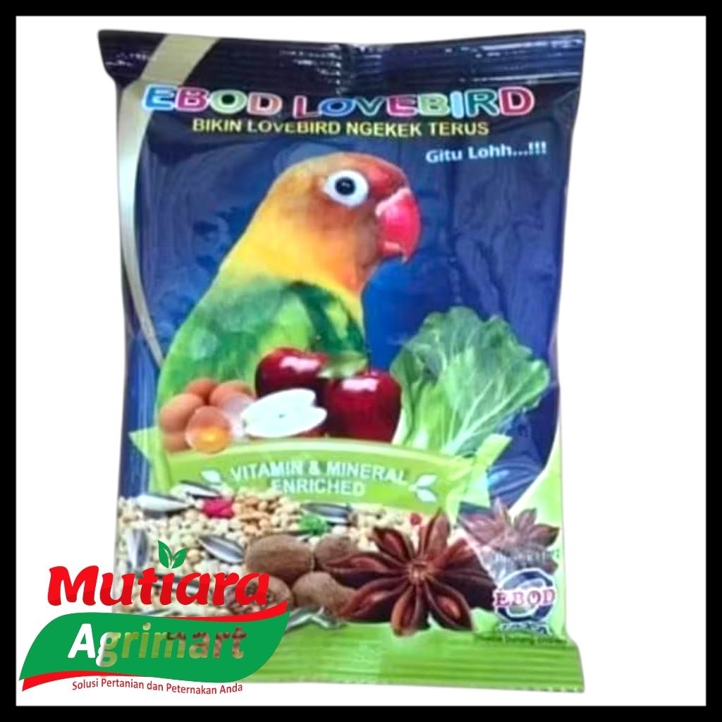 EBOD LOVEBIRD SACHET / PAKAN BURUNG LOVEBIRD / PAKAN BURUNG TERLARIS TERMURAH