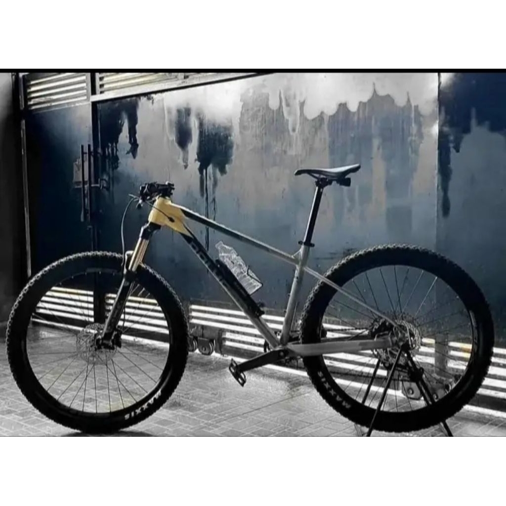 Polygon xtrada 6 2021