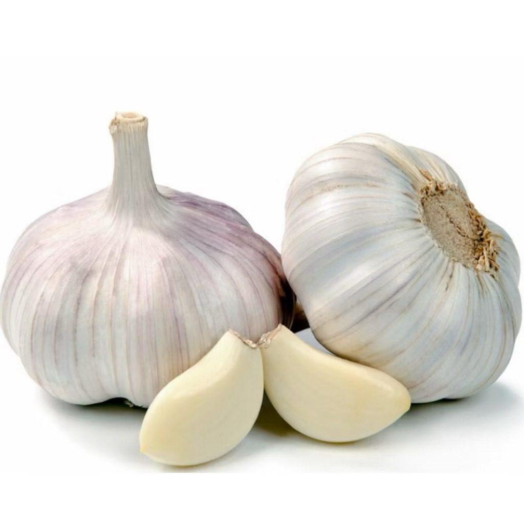 

BAWANG PUTIH BIASA FRESH GARLIC BAWANG PUTIH BERSIH SUPER