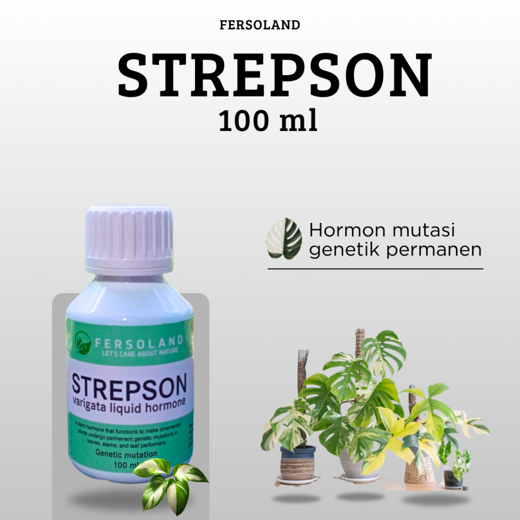 Strepson 100 ml | varigata tanaman hias | hidroponik | monstera varigata | peace lily | kaktus sensi
