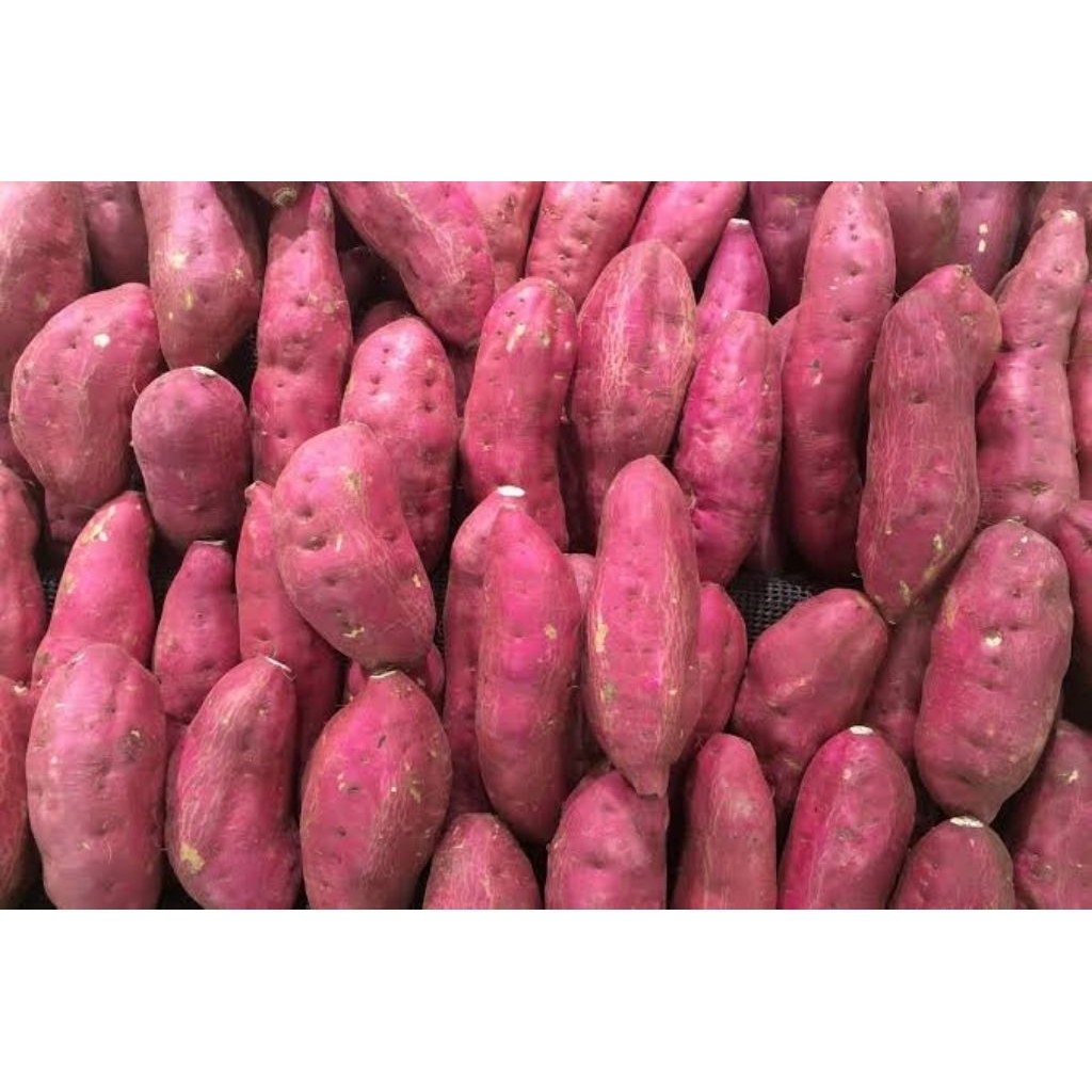 

ubi jalar olahan petani