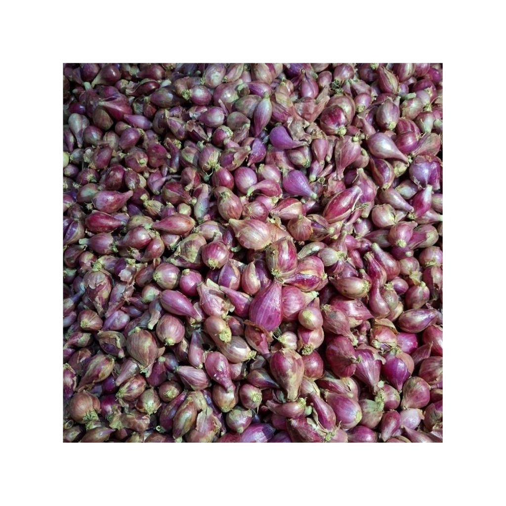 

Bawang_merah_Brebes_1_kg_fresh