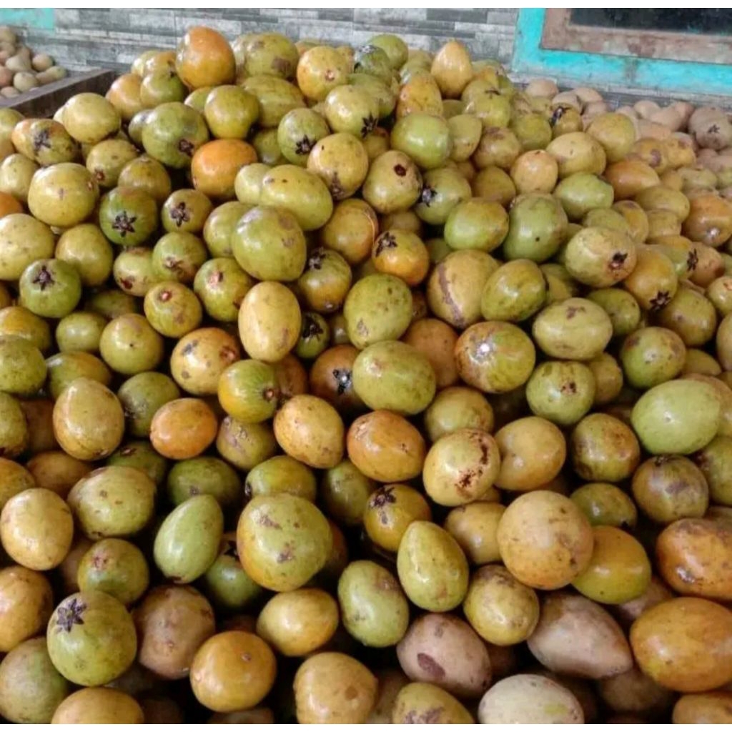 

buah sawo madu 1kg manis poll