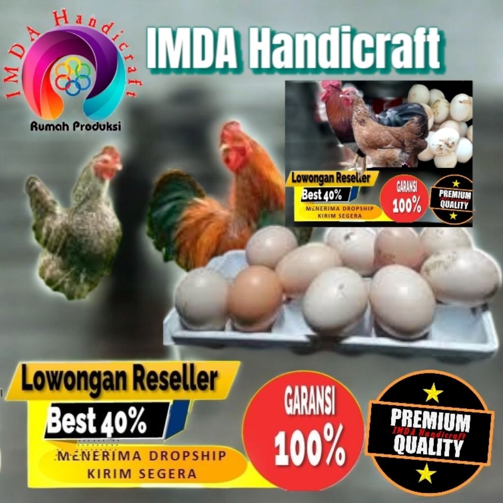 

IMDA HANDICRAFT Paket 100 Pcs TELUR FERTIL AYAM KUB2 Jalur PETELUR FI MURNI KUB2 Perent Stock Bisa Ditetaskan Kembali Kwalitas Super Jaminan Menetas Hasil Peternak Profesional