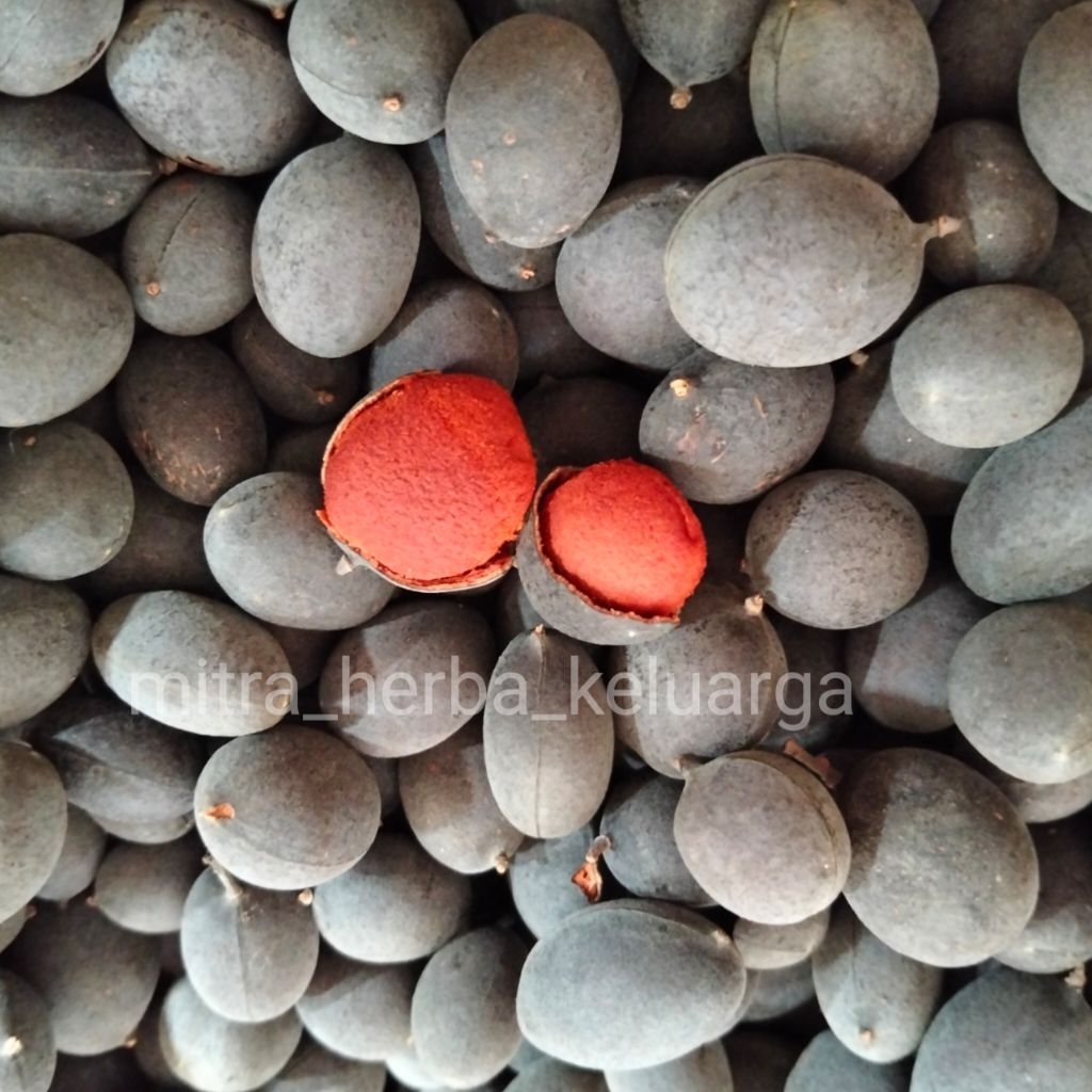 

Buah Asam Kranji menurunkan Kolestrol asam urat insulin diabetes sembelit