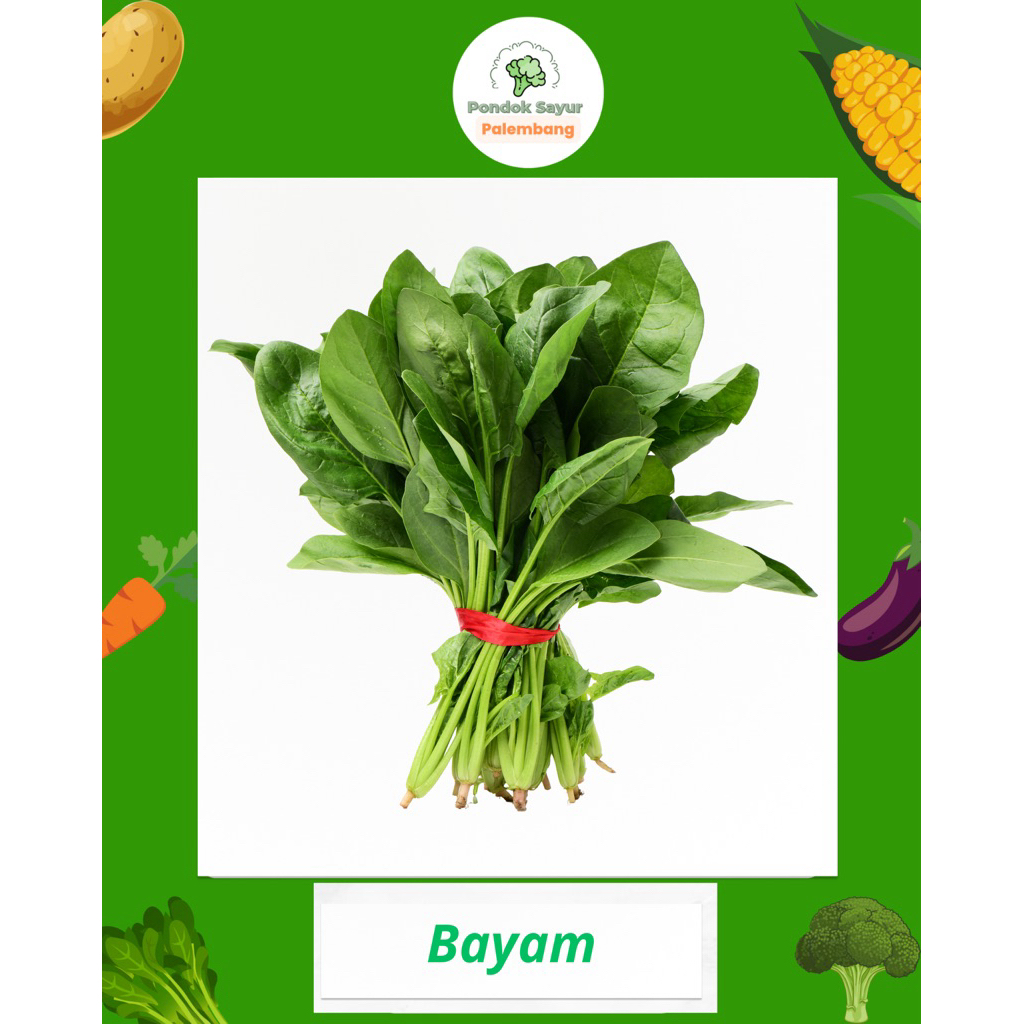

SAYUR BAYAM FRESH PONDOK SAYUR FRESH PALEMBANG
