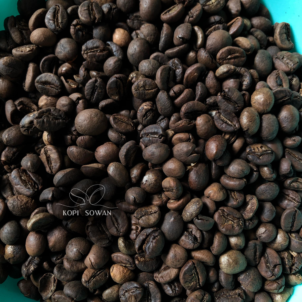 

BIJI KOPI ROBUSTA SANGRAI MATANG / ROAST BEAN ROBUSTA ( JAVA ROBUSTA WONOGIRI )