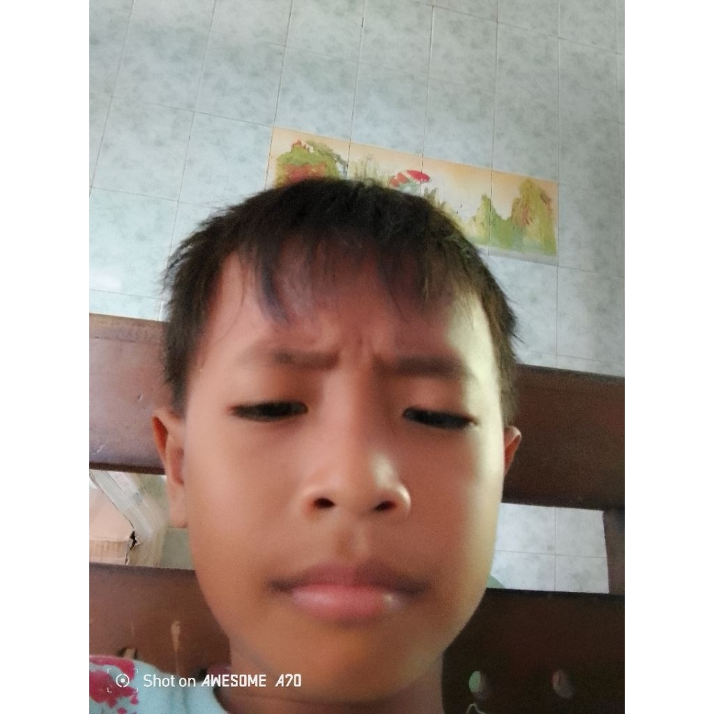 Pupuk Boron / Borate 48 Cap Tawon Isi 50 GR Kemasan REPACK Original 100 % By Limuntani