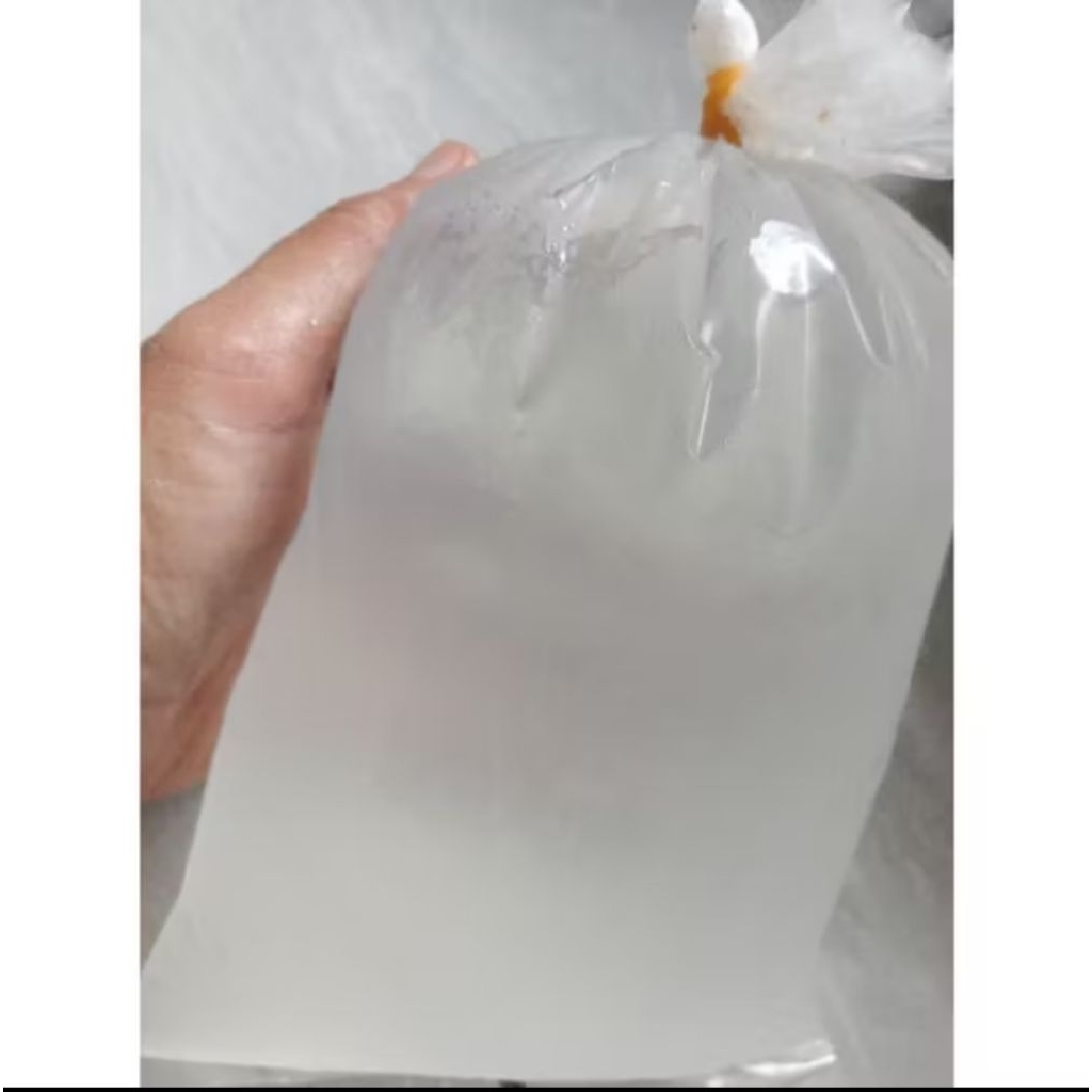 

air kelapa muda