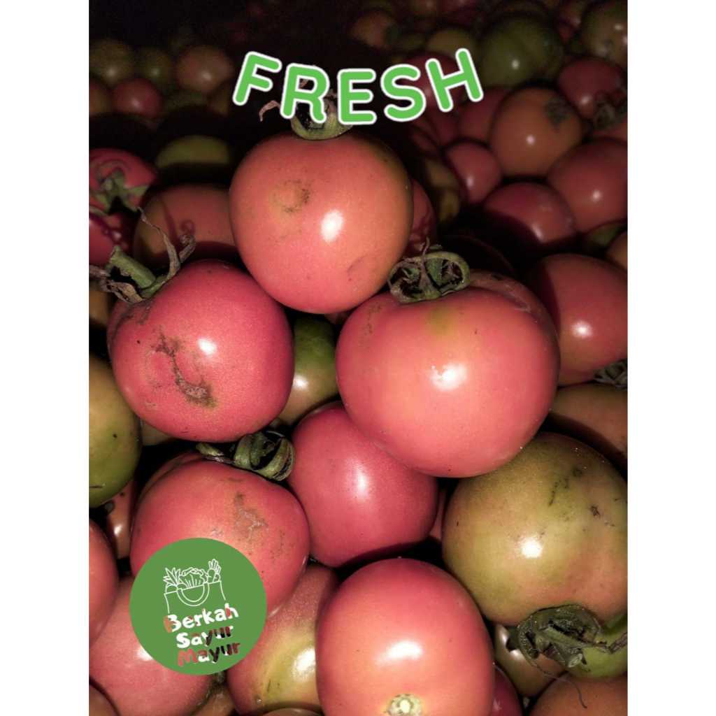 

BSM TOMAT APEL SEGAR DAN MANIS UNTUK DIET SEHAT 1 KG