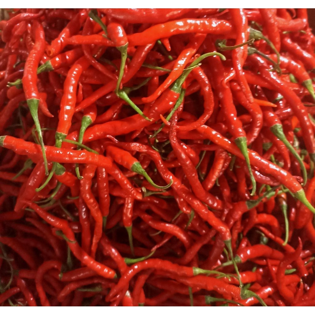 

Cabe Rawit Keriting Freah 500gr