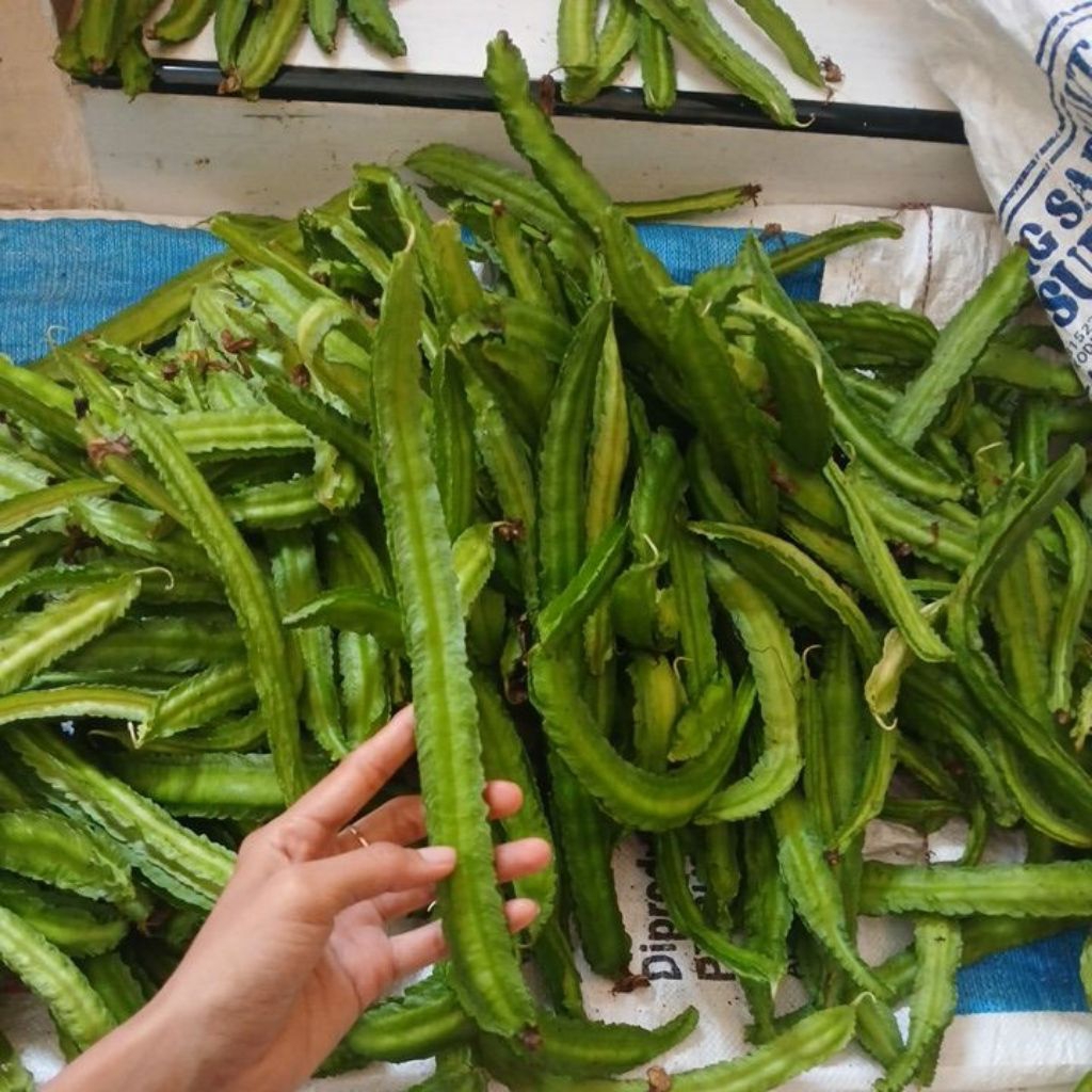 

Sayur Kecipir (organik)