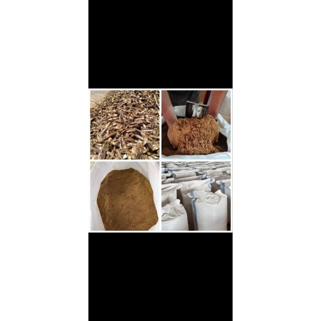 Tapung ikan kaya protein tinggi tepung ikan protein 60%