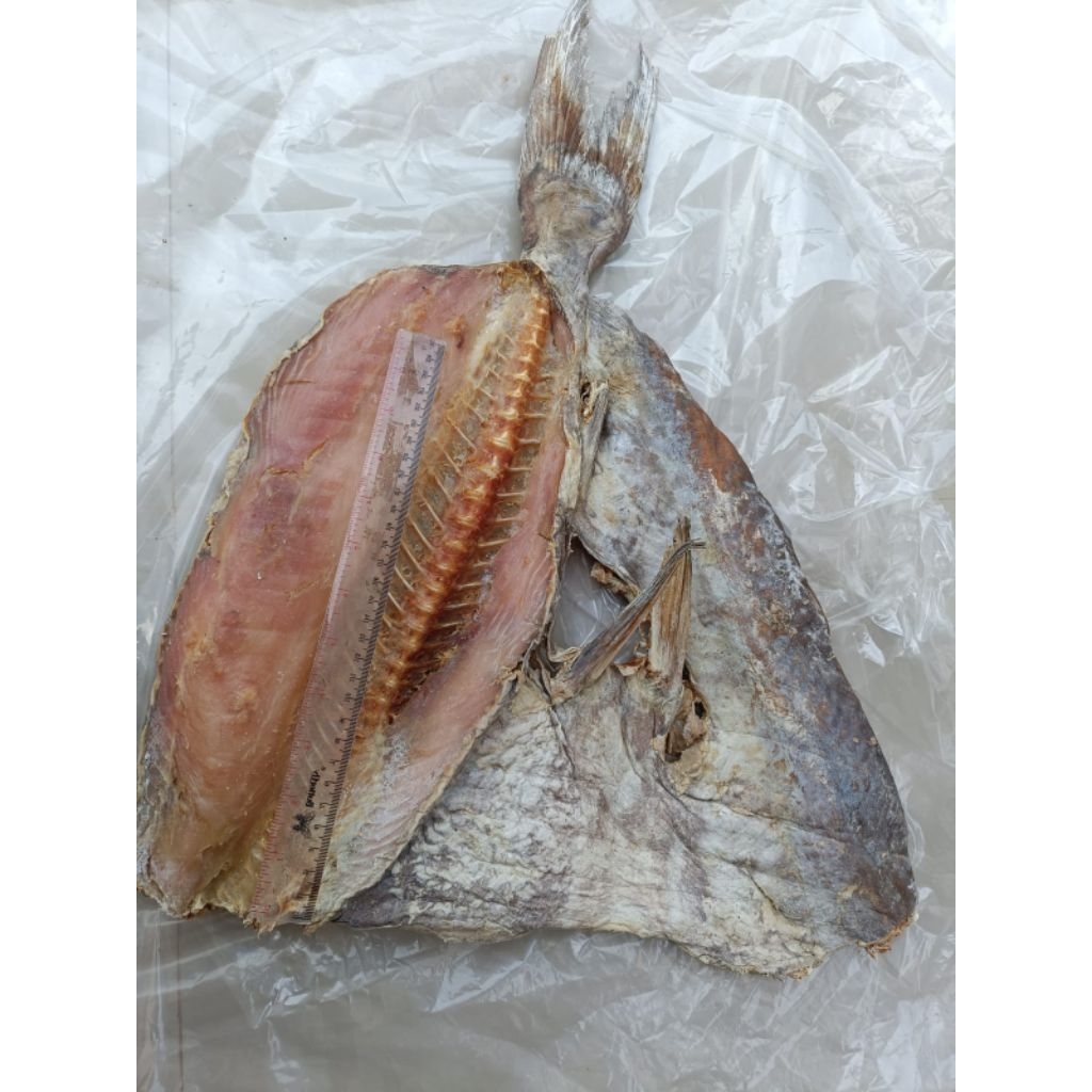 

IKAN JAMBAL ROTI KWALITAS PREMIUM 500 gram