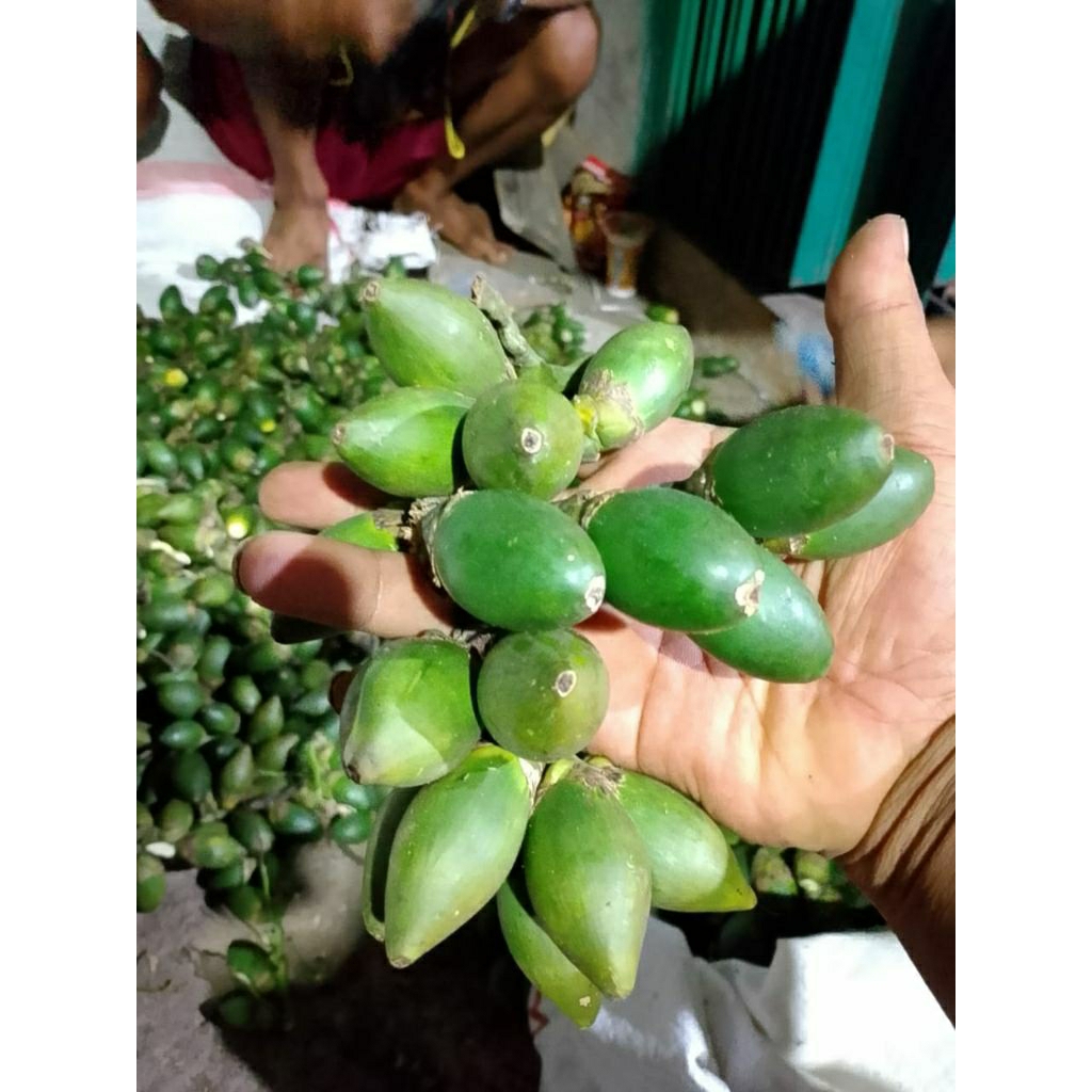 

pinang muda segar/pinang jus/pinang jambe muda