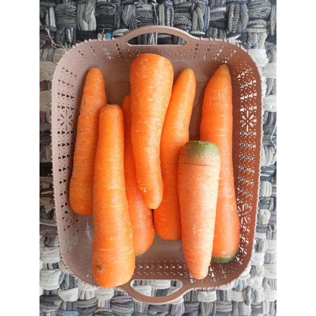 

Wortel Segar Fresh Kiloan 1/2 kg 500gr - Aneka Sayuran