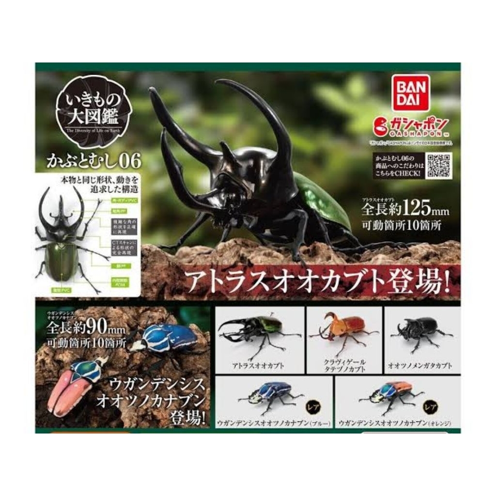 Bandai Ikimono Bettle Bug GachaPon