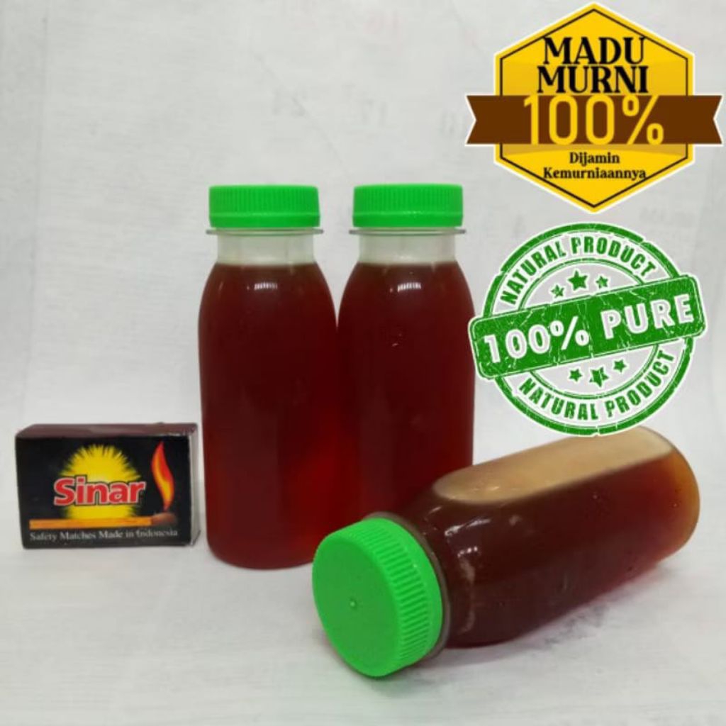 

Madu Klanceng Lebah Trigona Madu Kele Asli