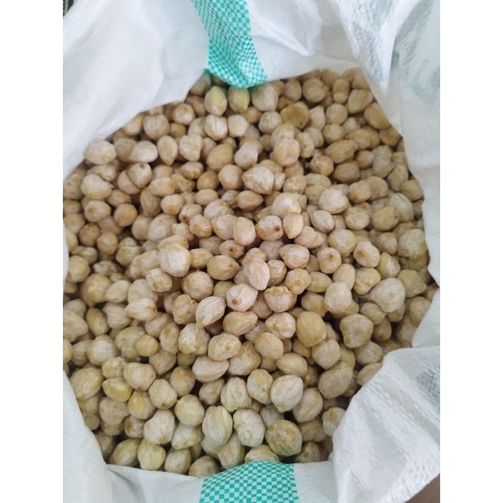 

kemiri Medan bulat premium