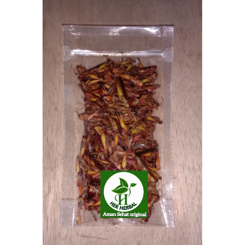 

Jual goreng belalang sawah krenyes gurih