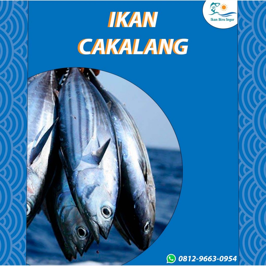 

Ikan Cakalang (Fresh Frozen Quality)
