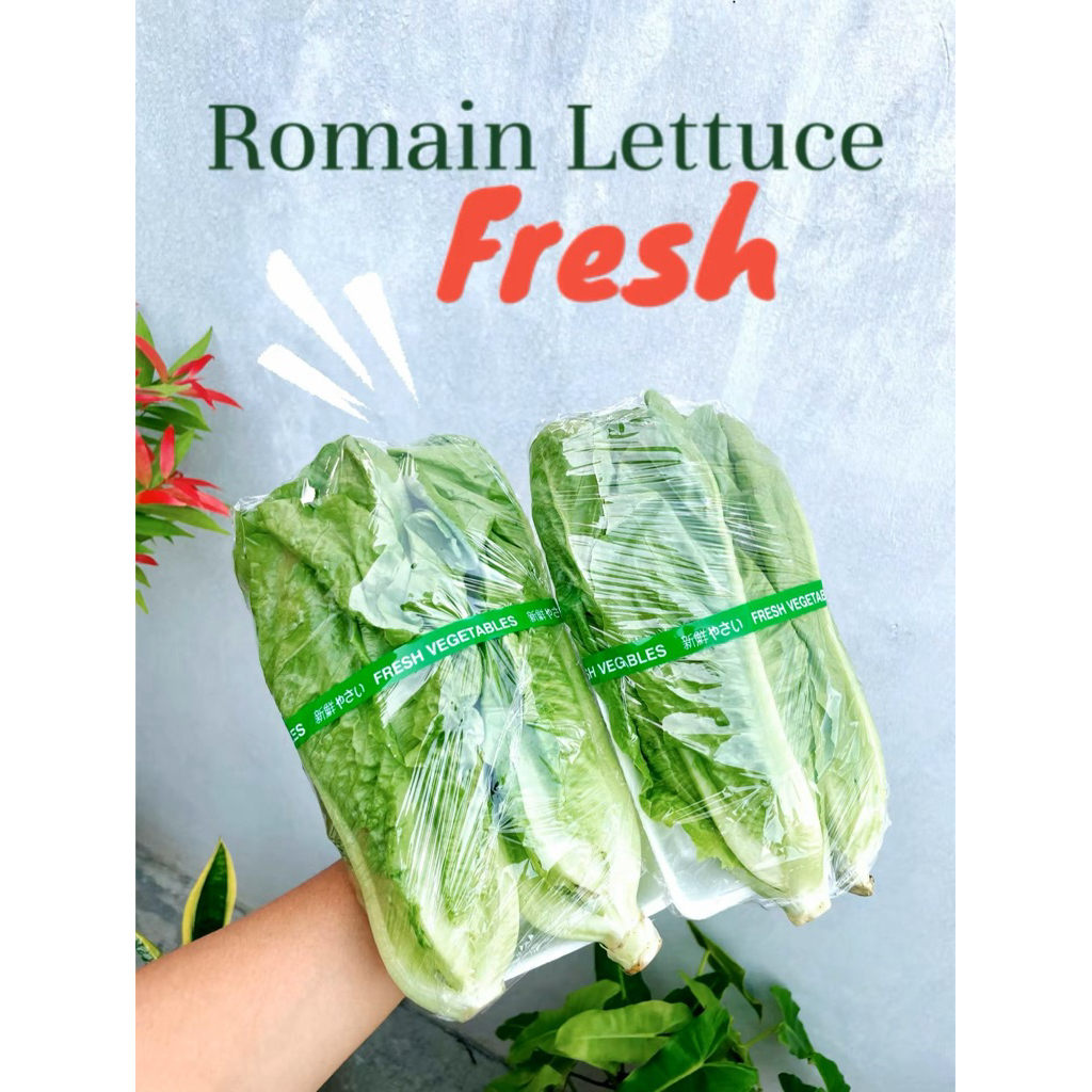 

ROMAINE LETTUCE PERPACK