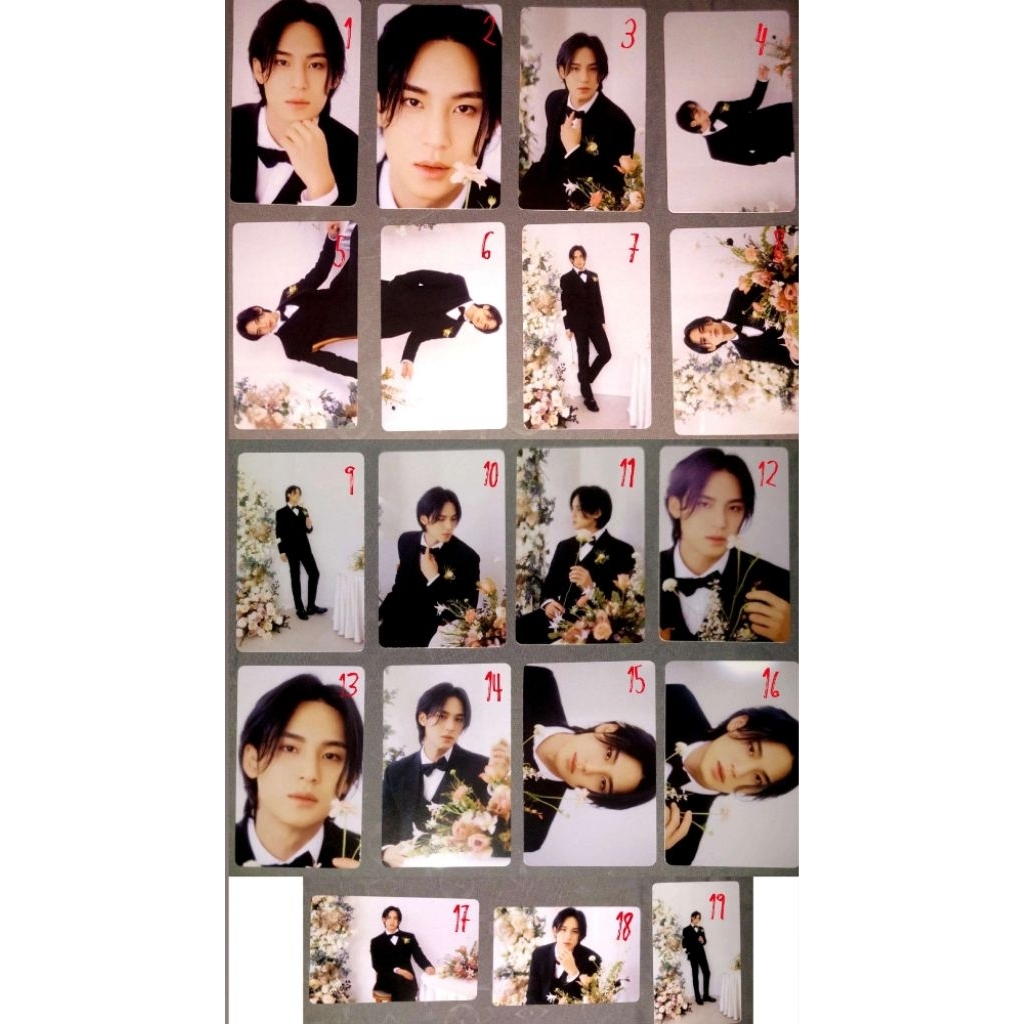 PC MINGYU FML CARAT VER.