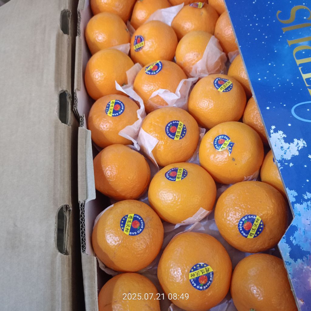 

jeruk wokam harga per 1 dus