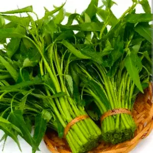 

KANGKUNG / WATER SPINACH 1 IKAT