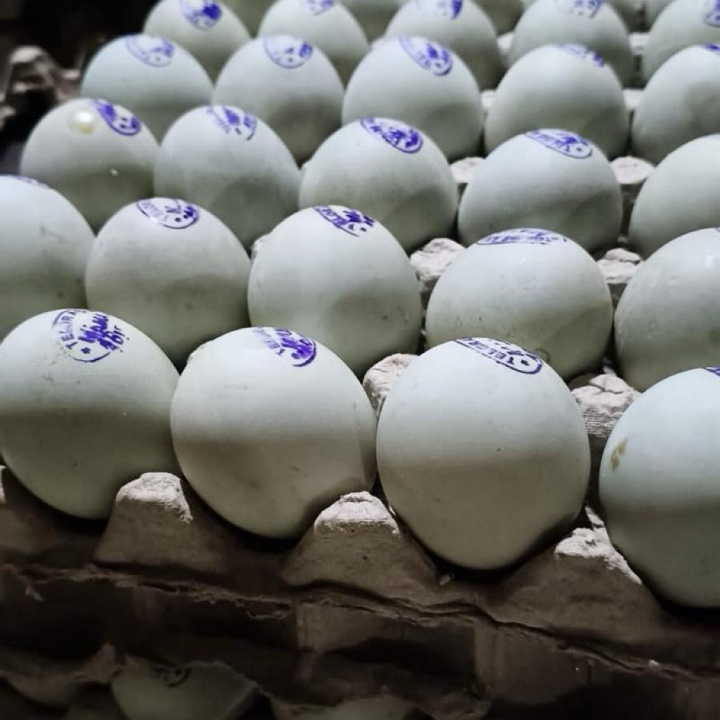 

telor asin,intalu jaruk,telor bebek