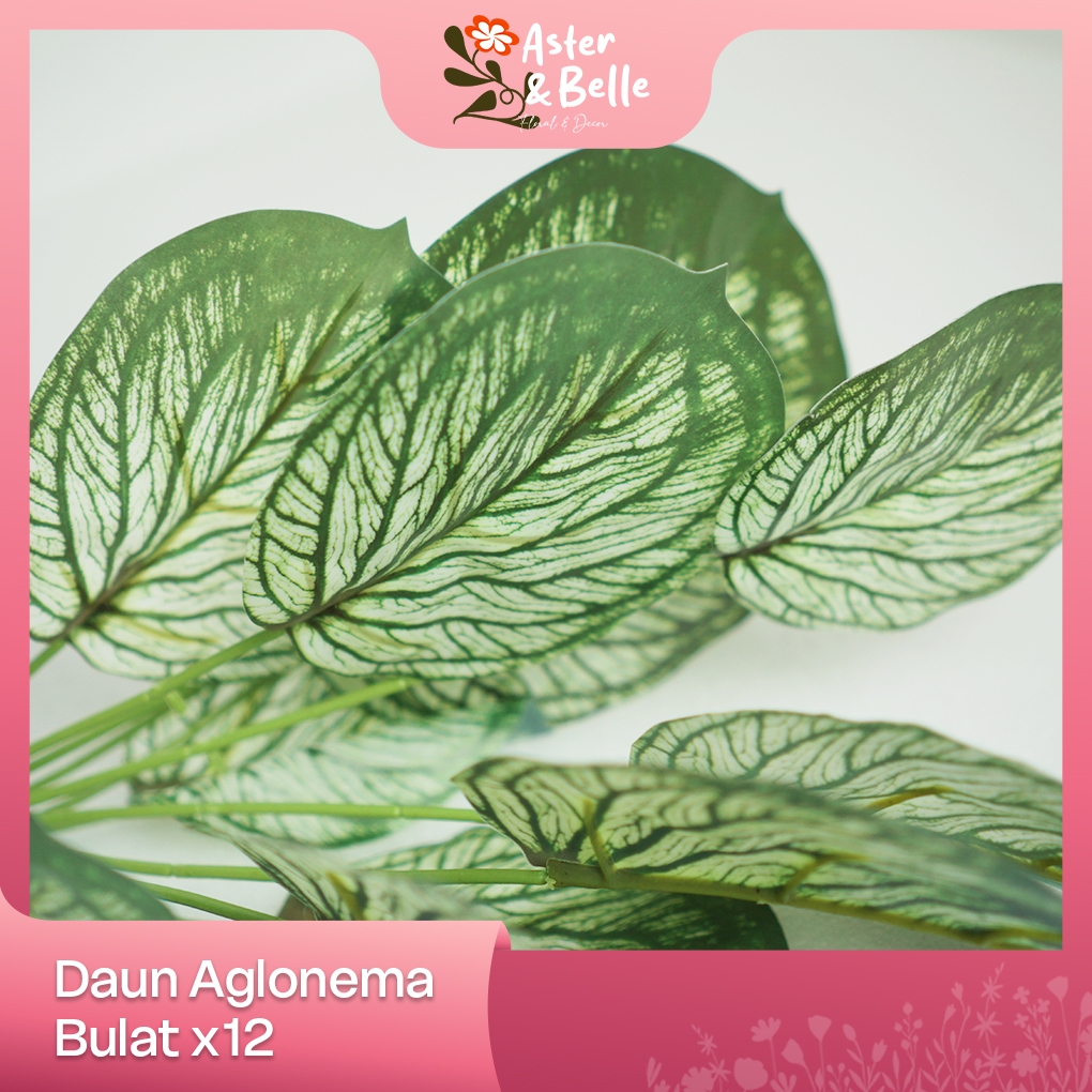 Daun Aglonema Bulat Artificial X12 Daun Keladi / Tanaman Hias Artificial Dekorasi Rumah & Acara